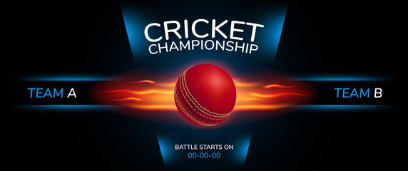 Cricket vector background. Sportive design style banner