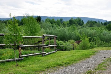 Fototapeta premium Landscape of a country road in the forest at the mountain