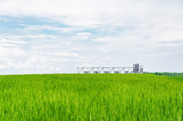 Metal modern elevator in the field of wheat