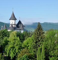 Church tower between trees and mountains in background. Aerial front view.