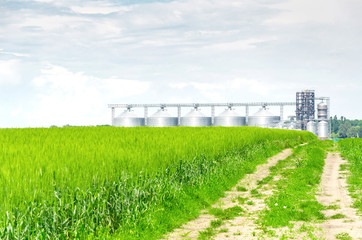 Obraz premium Metal modern elevator in the field of wheat