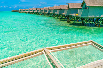 Vacation net seat in tropical Maldives island and beauty of the sea with the coral reefs .