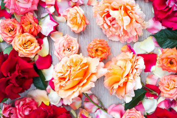 Colorful roses background. Beautiful, high quality, good for holidays,