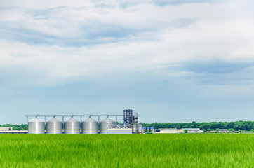 Large agriculture elevator near the field sown with wheat. Modern rural agricultural production