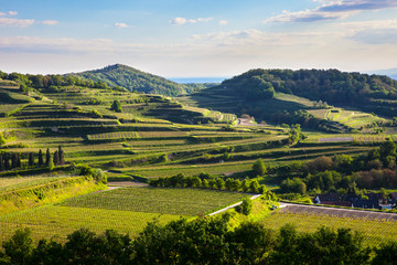 Obraz premium Kaiserstuhl_9071