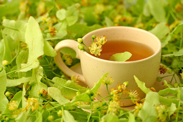 Linden infusion (Tilia platiphyllos or Tilia cordata)	