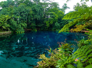 Fototapeta na wymiar Nanda Blue Hole, Espiritu Santo, Vanuatu, Luganville