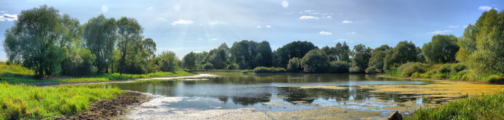 Fototapeta na wymiar Summer panorama of a picturesque pond on a Sunny day