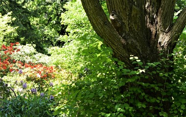 Botanischer Garten M&uuml;nchen