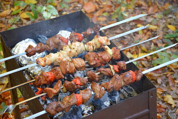 Brazier with kebabs and vegetables in the coals on the nature close up against the background of autumn leaves