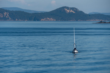Obraz premium British Columbia Ferry to Vancouver Island 