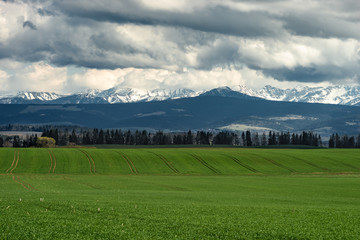 Fototapeta na wymiar Summer view to the green meadow with simetrice spaced roads , Tatra mountains, Poland, Europe. 