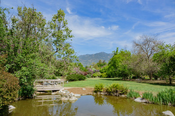 Nature landscape with mountain and pond view