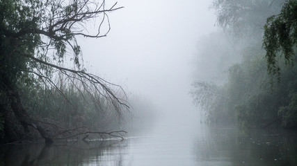Fototapeta na wymiar First light of a misty and foggy morning creating a picturesque atmosphere at the Danube Delta Romania