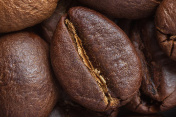 close up of dark brown roasted coffee bean