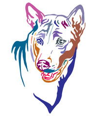 Colorful decorative portrait of Thai Ridgeback Dog vector illustration
