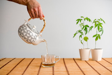 Bamboo table with Marijuana plant in pottery. Hand pouring hot CBD tea in to glass.