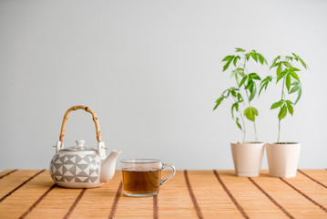 Bamboo table with Marijuana plant in pottery. Hot CBD tea and teapot.