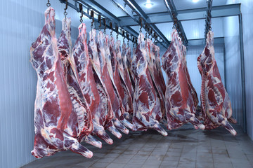 market,animal,fresh,food,freezer,deep,raw,meat,beef,hanging,hooked,cold,storage, meat, flesh, food, blood, clean, carcase, carcass, beef, bovine, skin, flay, raw, butchering, cut, meat, blood, hoist, 