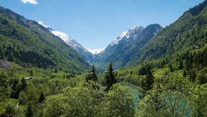 Fototapeta na wymiar Austrian nature with snowy mountains behind 