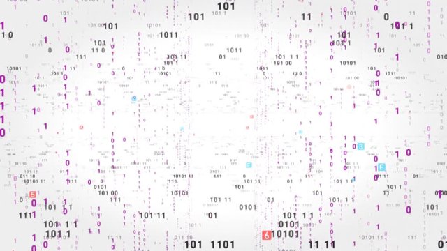 Digital fly binary code background loop. Data binary code network. 4K loop animation. White version.