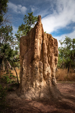 Enormous termite mound Northern Territory Australia
