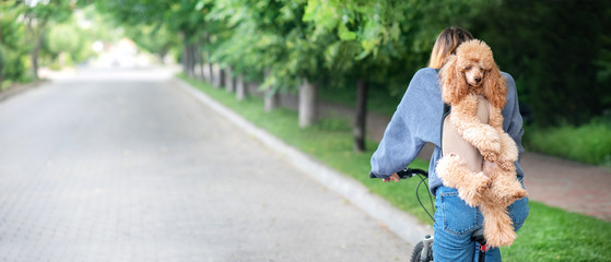 Dog really like to travel in a animal carrying backpack .