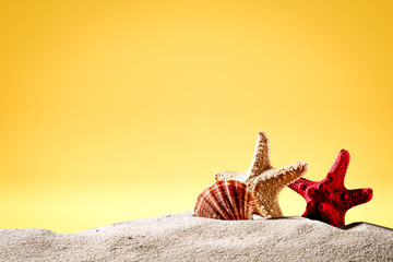 Fototapeta na wymiar Summer background of sand and shell with yellow background 
