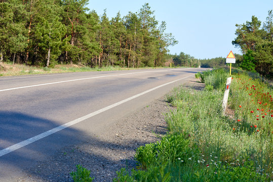 asphalt road along the forest, summer day