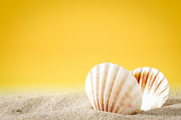 Summer background of sand and shell with yellow background 