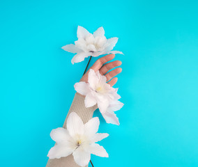 female hand holding blooming white clematis buds on a blue background,  fashionable concept for hand care