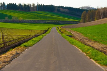 日本　北海道　絶景の道と青空