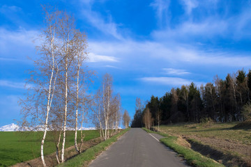 日本　北海道　絶景の道と青空