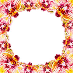 Beautiful frame from orchid flowers. Watercolor painting. Exotic plant. Floral print. Botanical composition. Wedding and birthday. Greeting card. Flower painted background. Hand drawn illustration.