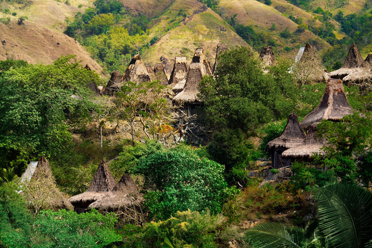 traditional hut of inhabitant in sumba island  -indonesia