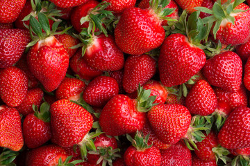 Fresh ripe strawberries