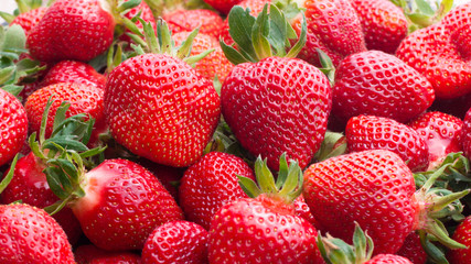 Fresh ripe strawberries