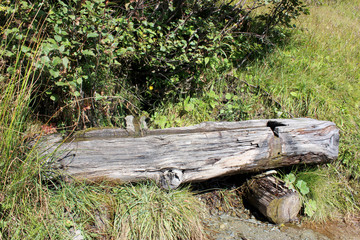 Quelle im Gebirge Berg