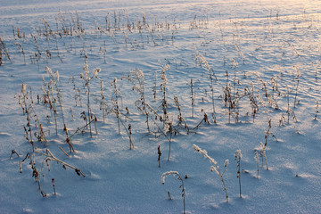 Winterlandschaft Feld frisch