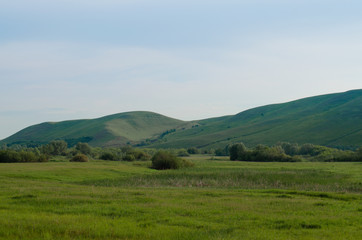 Fototapeta na wymiar Summer landscape hills and meadows at sunrise with blue sky and green grass