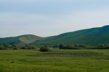 Summer landscape hills and meadows at sunrise with blue sky and green grass