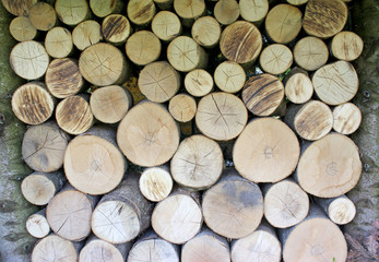 Holzhaufen gescchlichtet rund