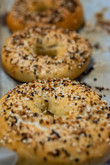 Fresh american bagel out of the oven