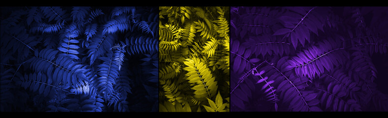 Perfect Natural leaves Pattern Beautiful Tropical pattern