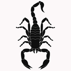 An animal silhouette of a scorpion