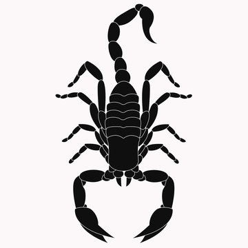 An animal silhouette of a scorpion
