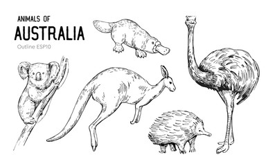 Australian animals. Set of outlines. Hand drawn illustration converted to vector