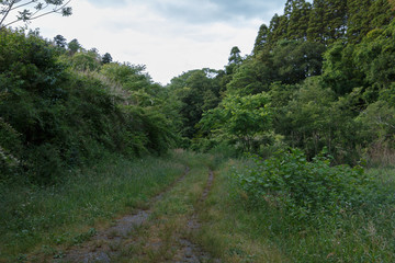 Fototapeta premium 田代滝の駐車場