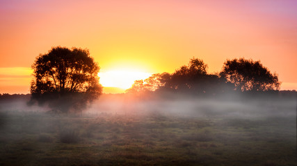 Fototapeta na wymiar Herbstlicher Sonnenaufgang im Moor mit Nebel (Steinhuder Meer, Niedersachsen) / foggy sunrise in a German moor