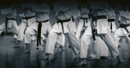 Kids training on karate-do. Banner with space for text. For web pages or advertising printing....